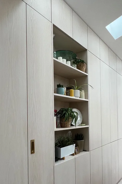 Photograph of an interior wall with white cabinets and shelves, small plants on the shelves, natural light from a skylight window, light wood grain, interior design photography, interior detail in the style of interior design photography.